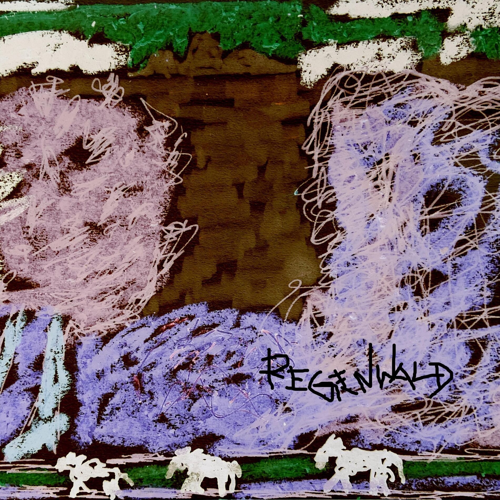 Album cover of Regenwald