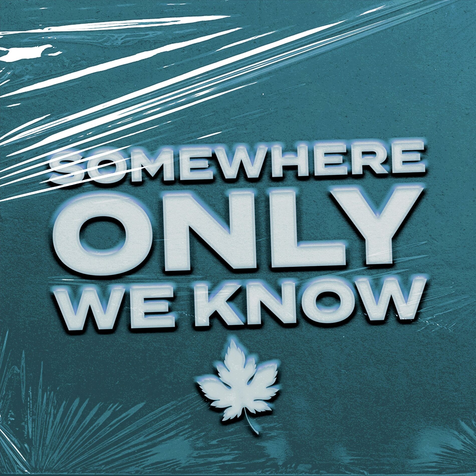 Album cover of Somewhere Only We Know