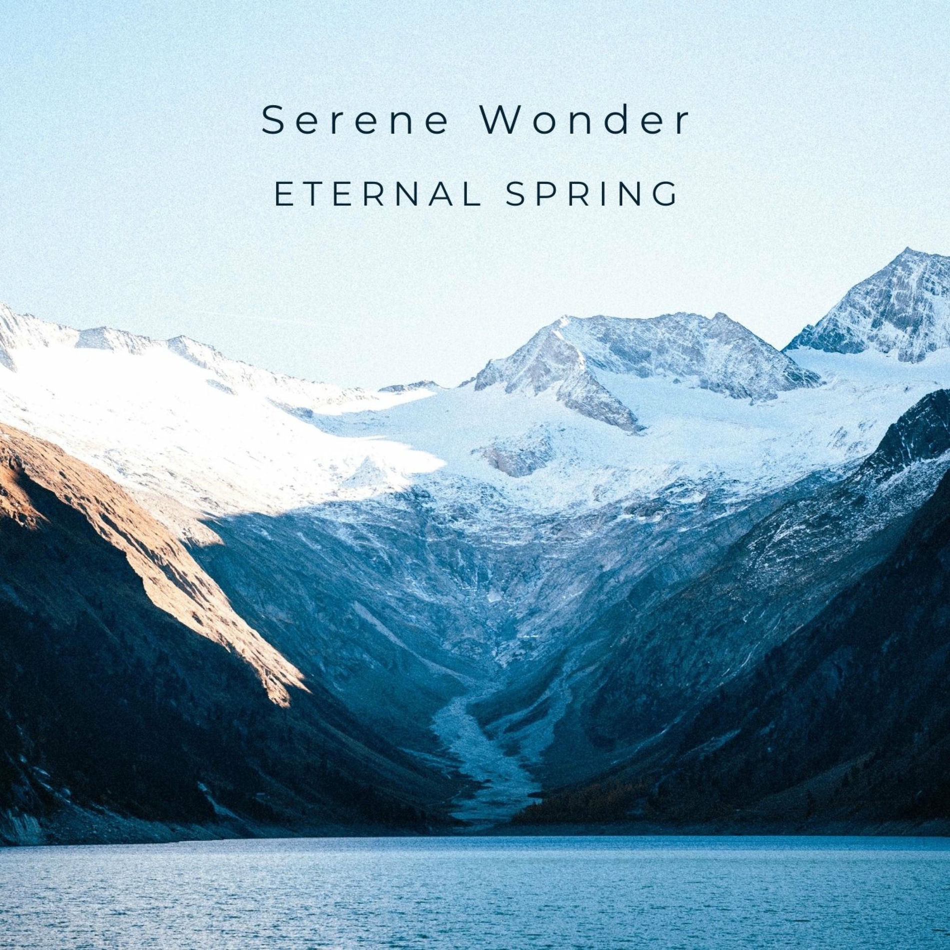 Album cover of Serene Wonder