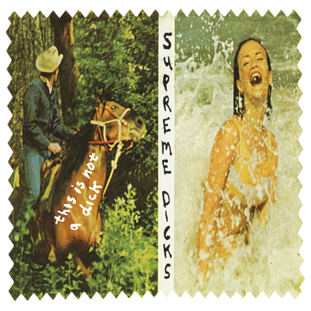 Picture of The Is Not A Dick & Rarities