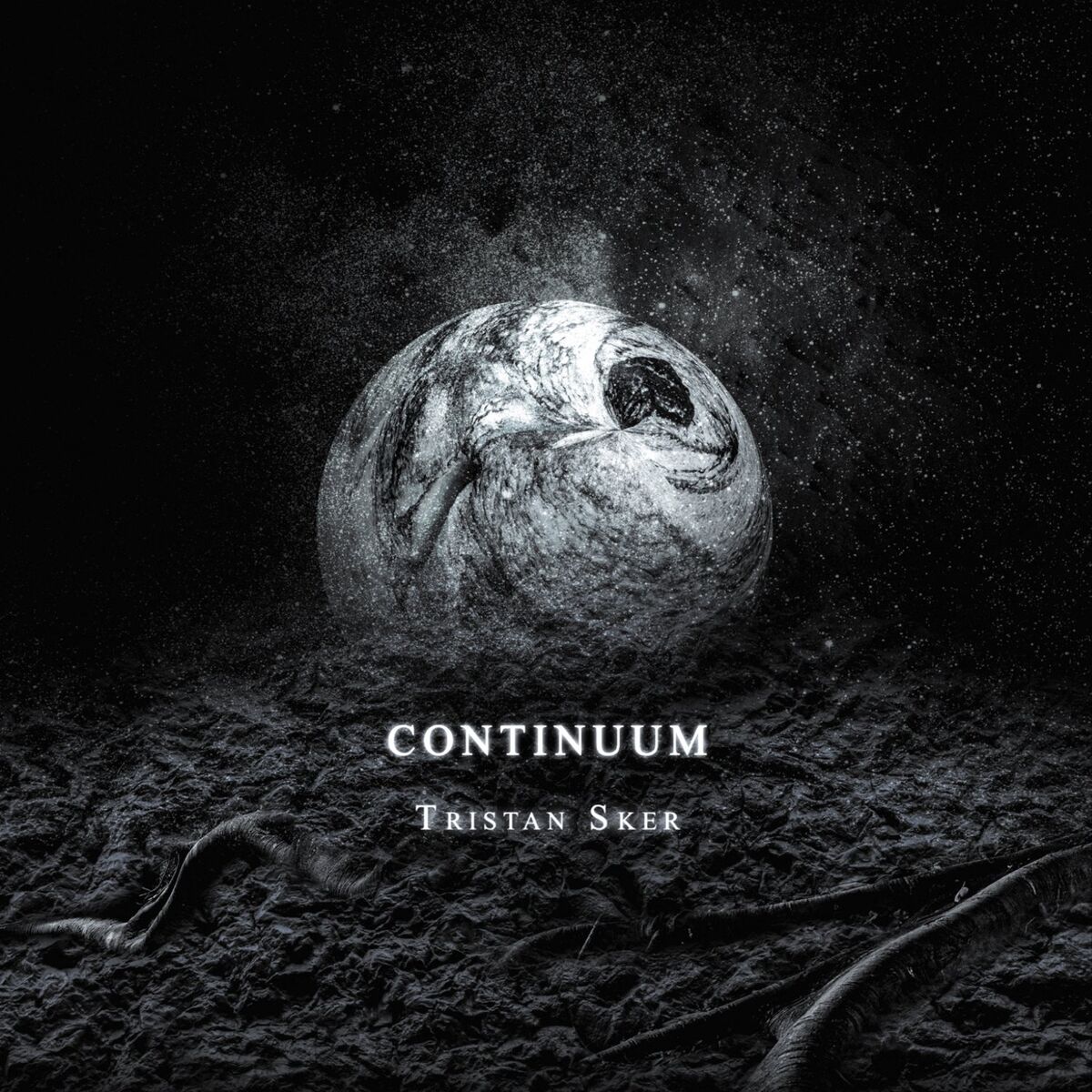 Album cover of Continuum