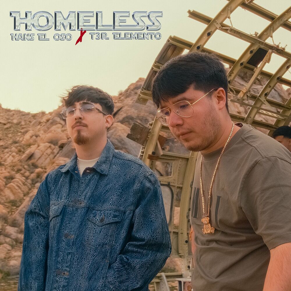 Picture of Homeless