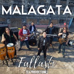 Cover of Fallaste
