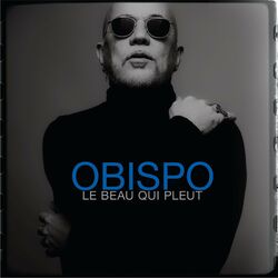 Cover of Le beau qui pleut