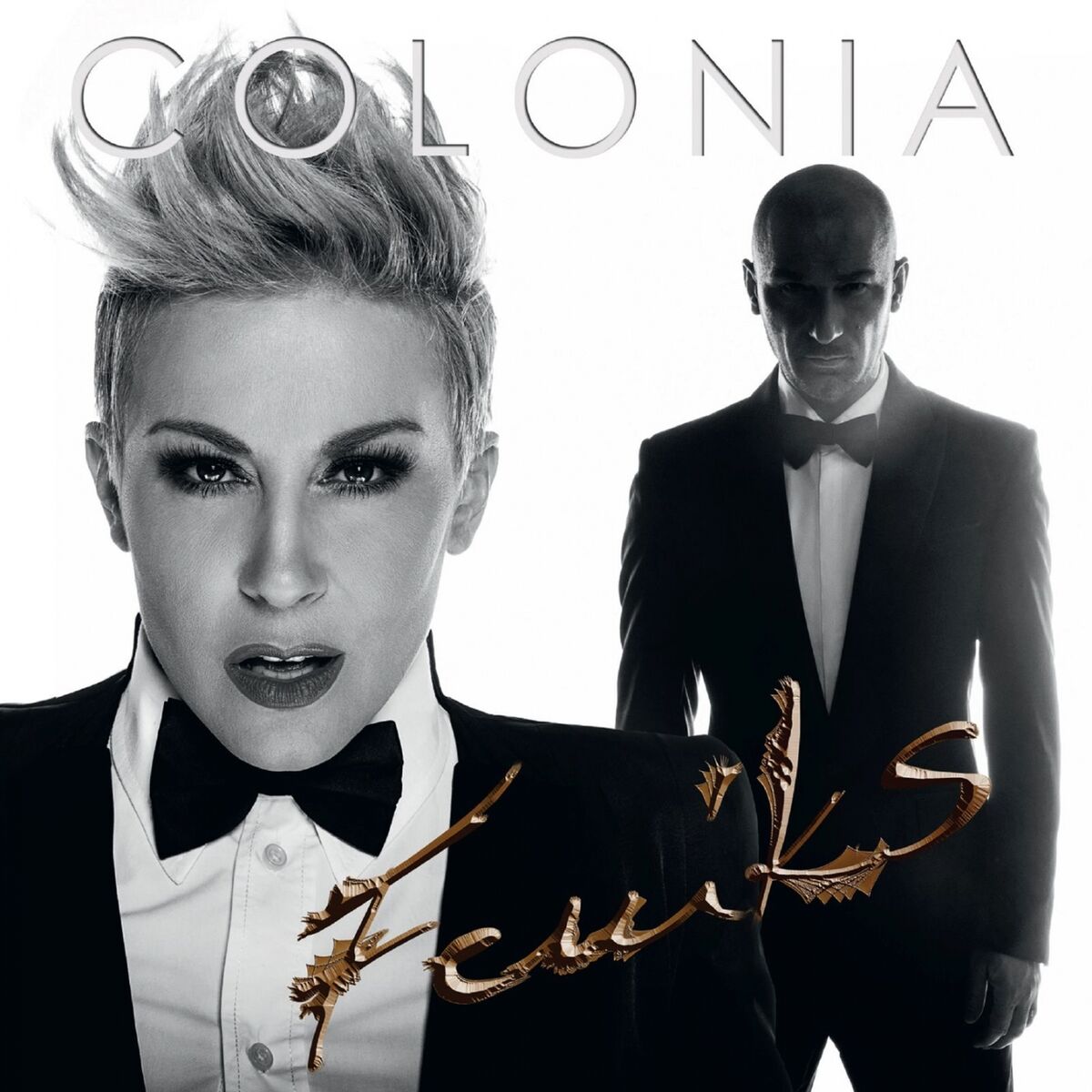 Album cover of Feniks