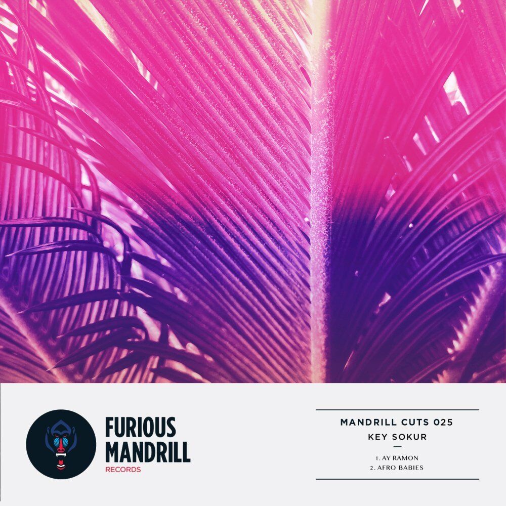 Picture of Mandrill Cuts 025