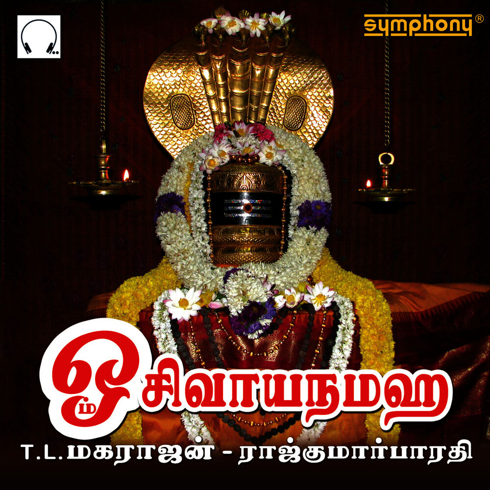 Picture of Om Sivaya Namaha