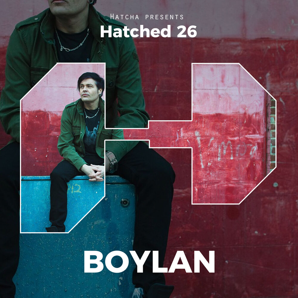 Picture of Hatched 26