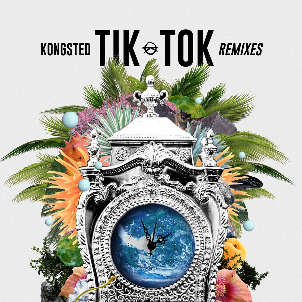 Picture of Tik Tok (Remixes)