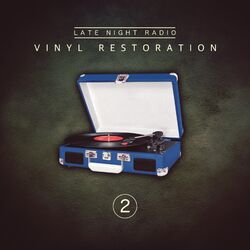 Cover of Vinyl Restoration, Vol. 2
