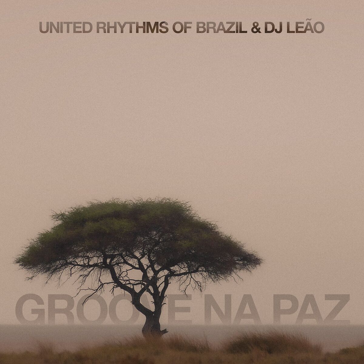 Album cover of Groove Na Paz