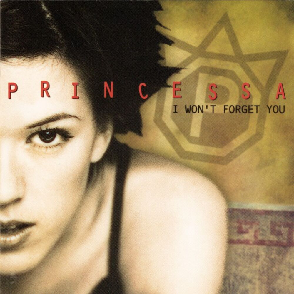 Picture of I Won't Forget You