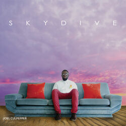 Cover of Sky Dive