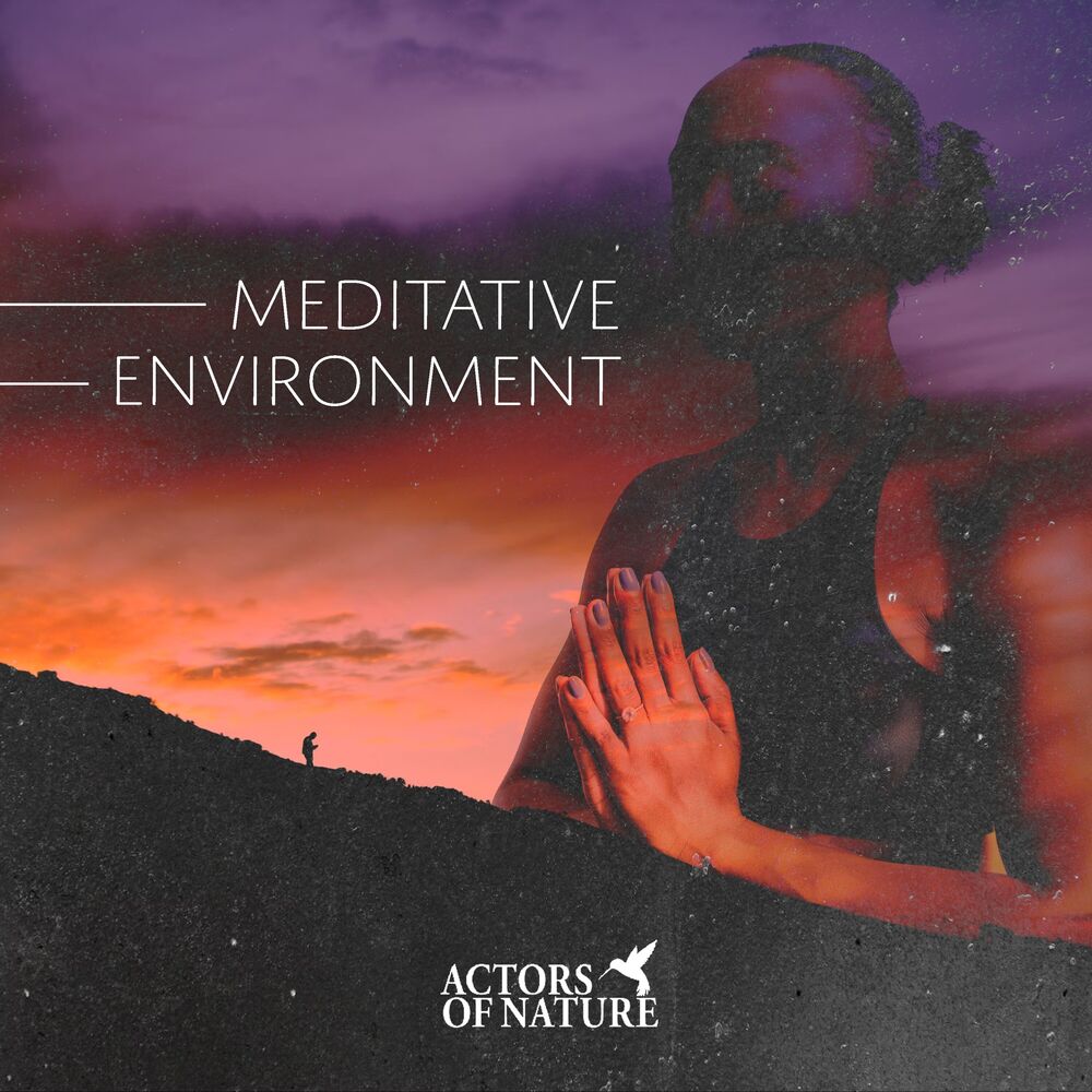 Picture of Meditative Environment