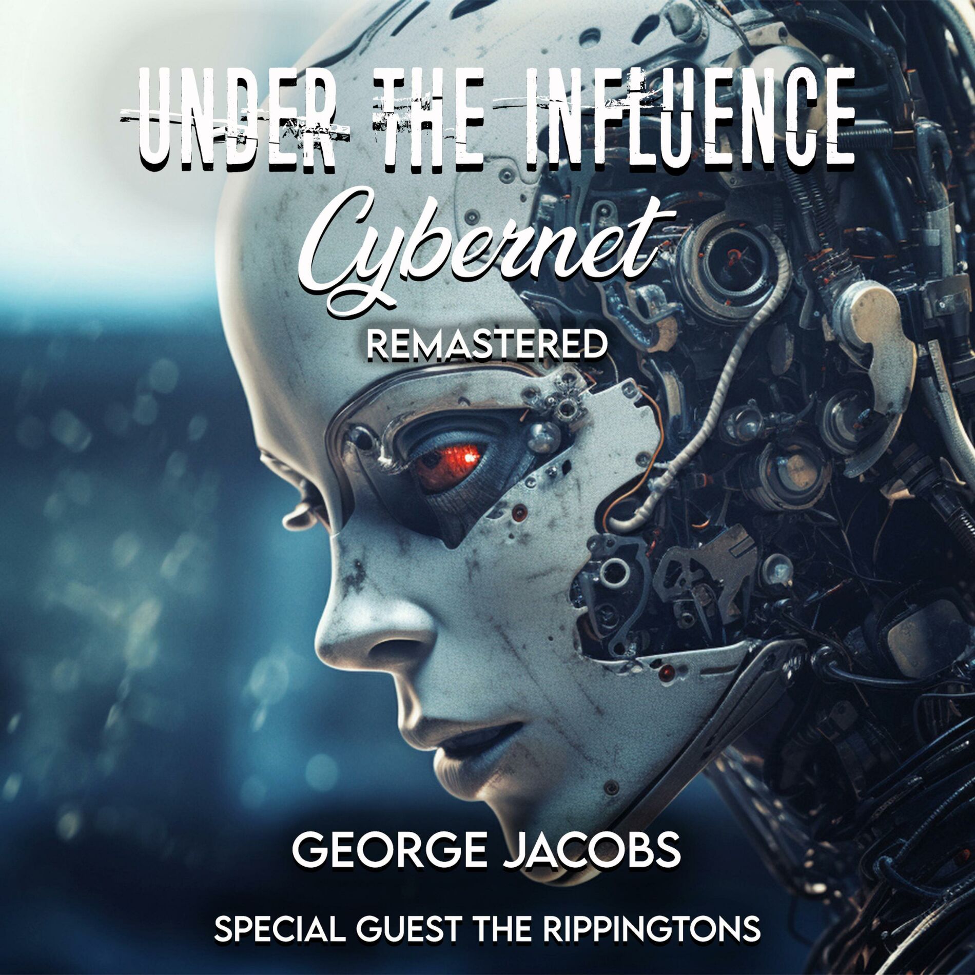 Album cover of Cybernet (feat. The Rippingtons) [Radio Edit]