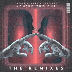 Cover of You're The One (The Remixes)