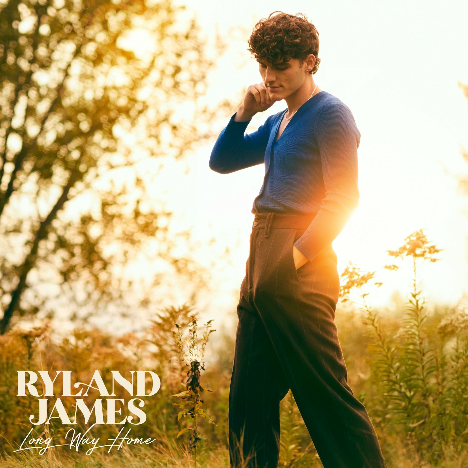 Album cover of Long Way Home