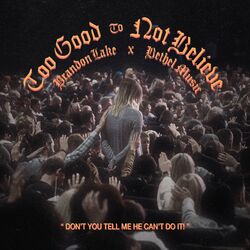 Cover of Too Good To Not Believe (Live)