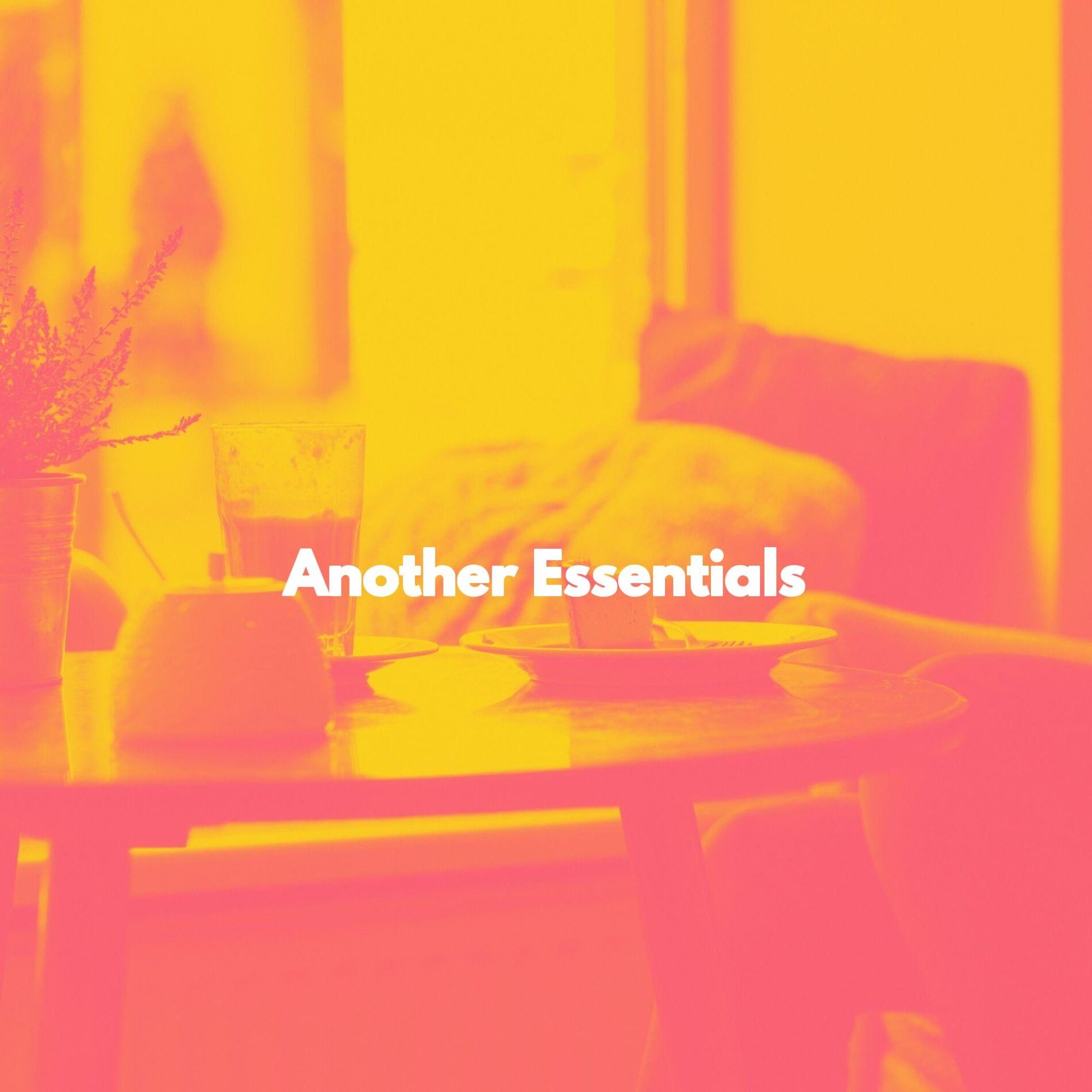 Album cover of Another Essentials