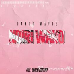Cover of Ndiri Wako