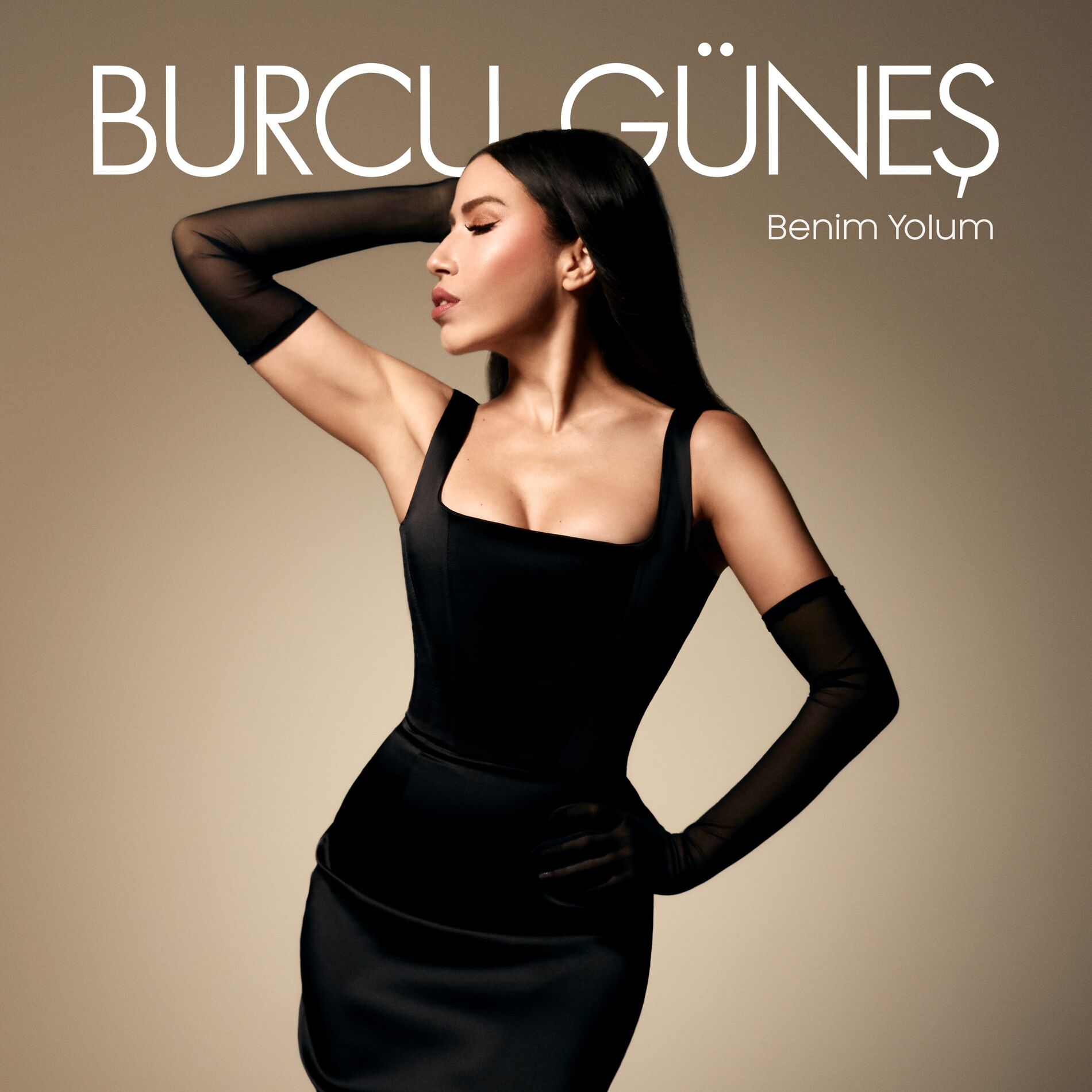 Album cover of Anıları Yak