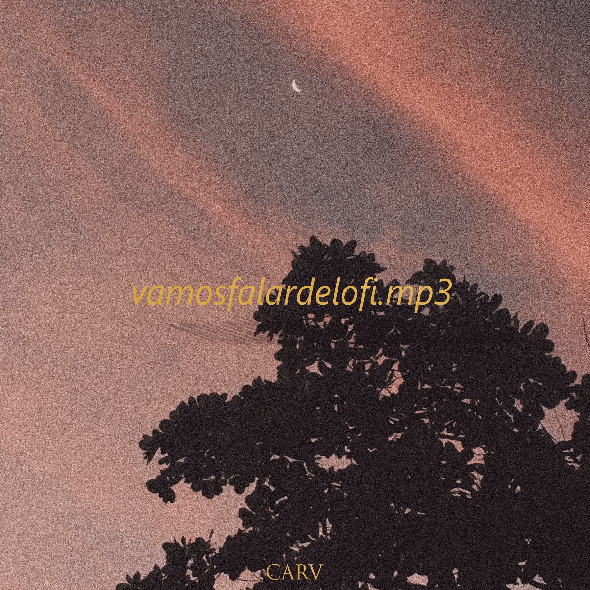 Album cover of Vamosfalardelofi