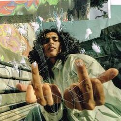 Cover of FUCK SHIT!