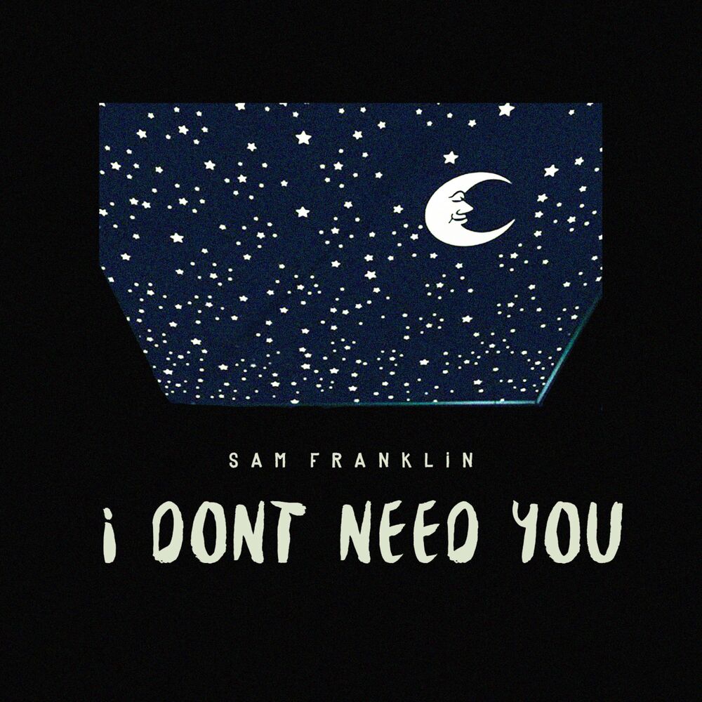 Picture of I Don't Need You