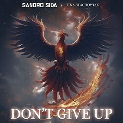 Cover of Don't Give Up
