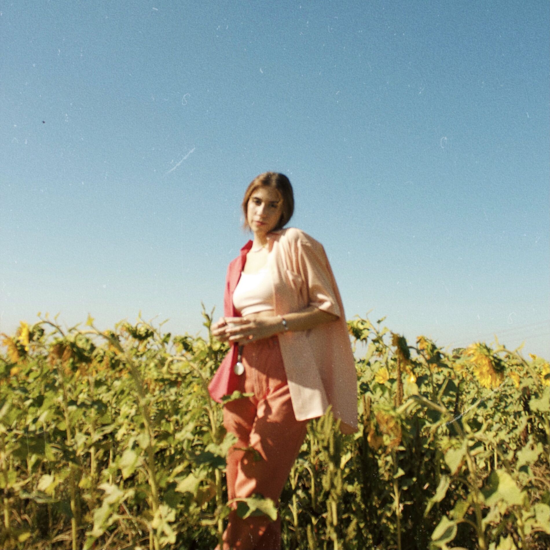Album cover of Girassóis