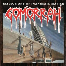 Cover of Reflections Of Inanimate Matter