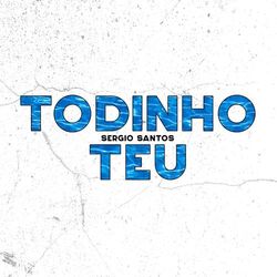 Cover of Todinho Teu