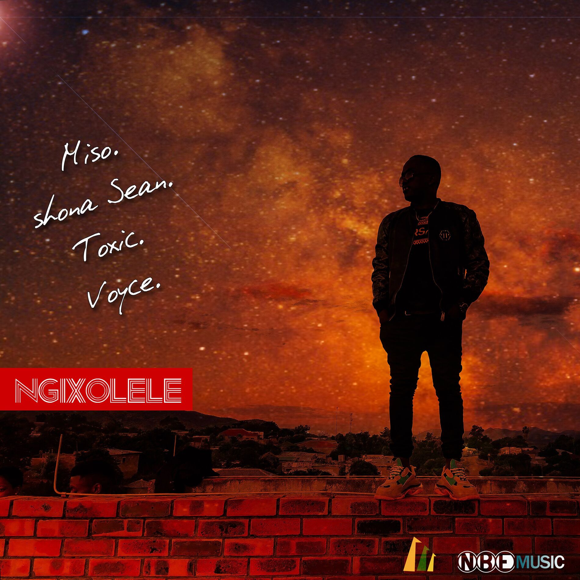 Album cover of Ngixolele