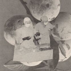 Cover of Frutas Estragadas