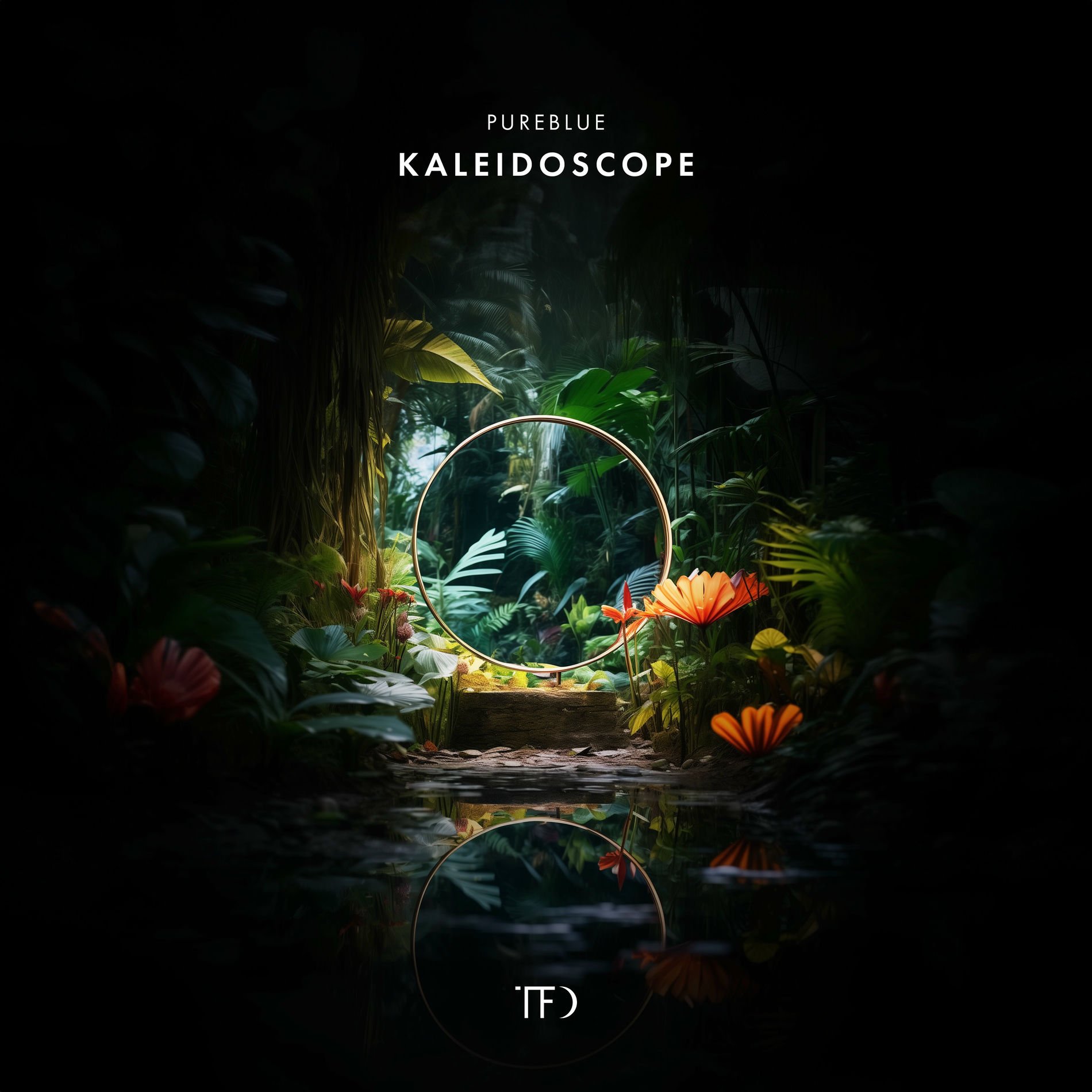 Album cover of Kaleidoscope