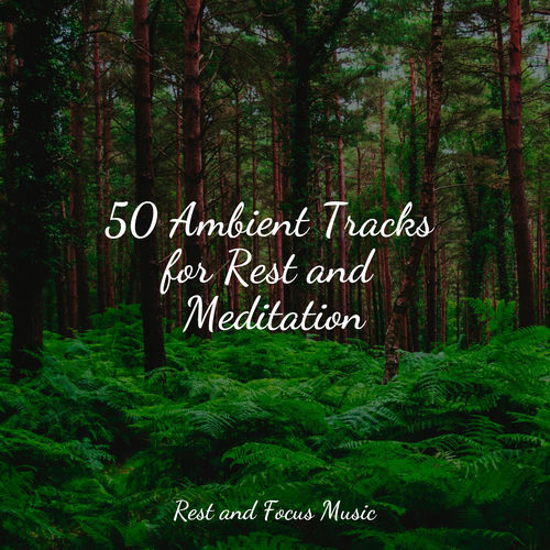 50 Ambient Tracks for Rest and Meditation - Study Music | Deezer