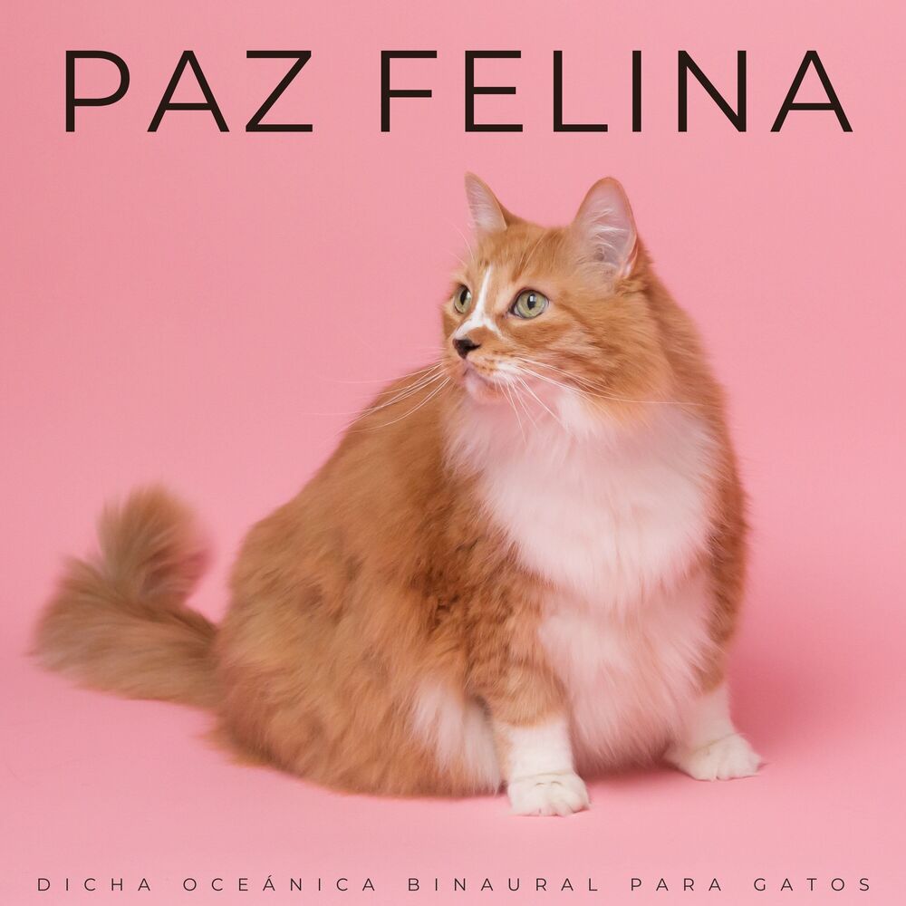 Picture of Paz Felina: Dicha Oceánica Binaural Para Gatos