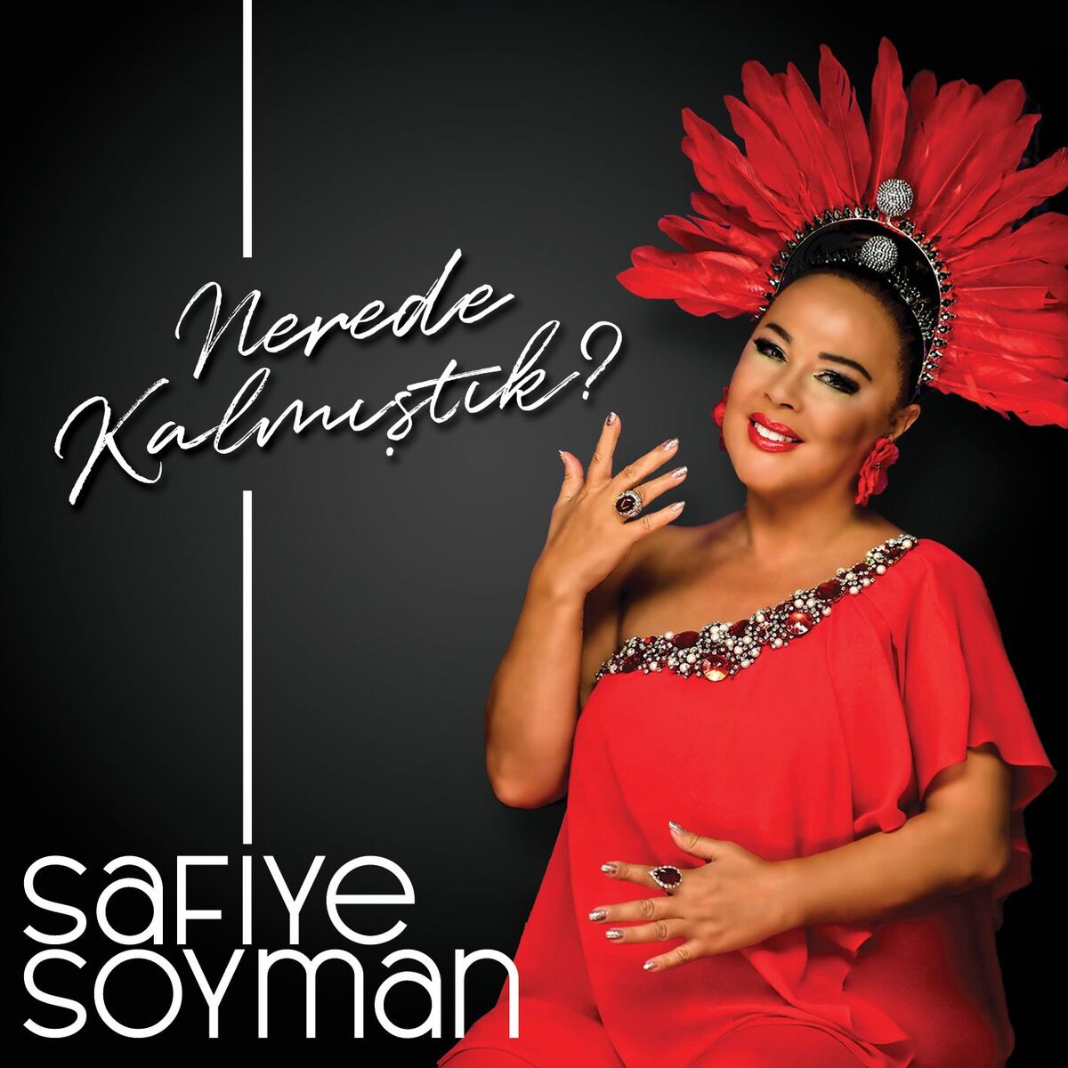 Album cover of Nerede Kalmıştık
