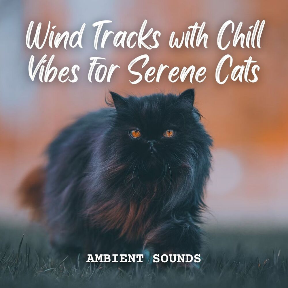 Picture of Ambient Sounds: Wind Tracks with Chill Vibes for Serene Cats