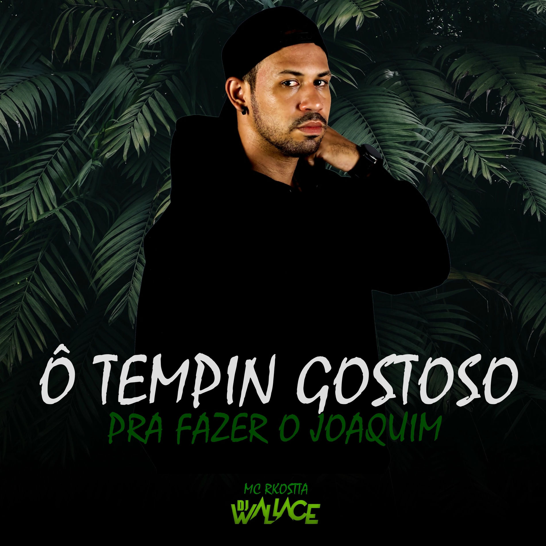 Album cover of Ô Tempin Gostoso pra Fazer o Joaquim