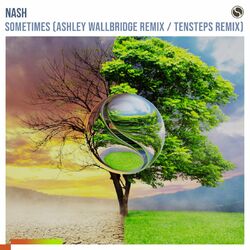 Cover of Sometimes (Ashley Wallbridge Remix / Tensteps Remix)