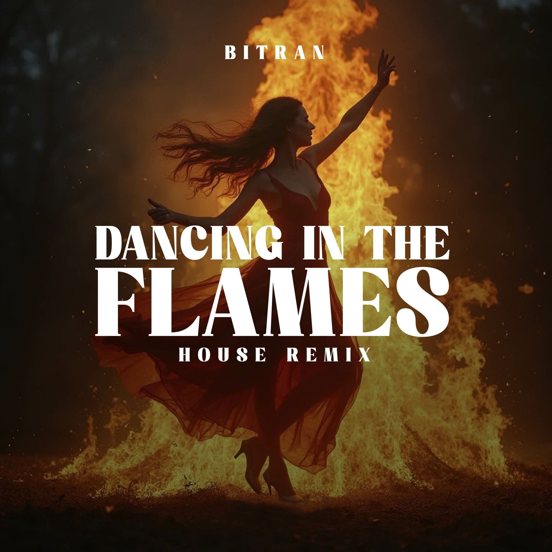 Album cover of Dancing in the Flames (House Remix)