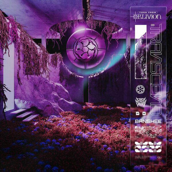 Torn From Oblivion - Banshee [single] (2025)