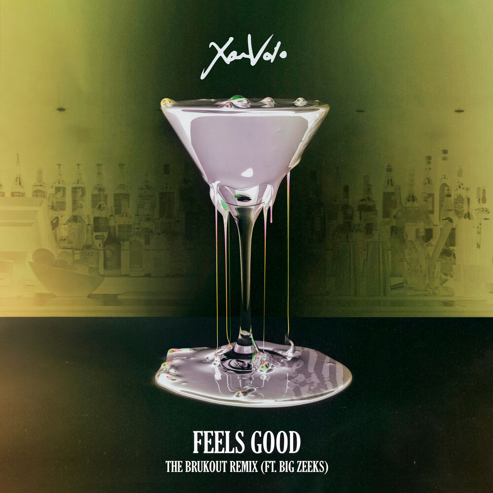 Picture of Feels Good (The Brukout Remix)