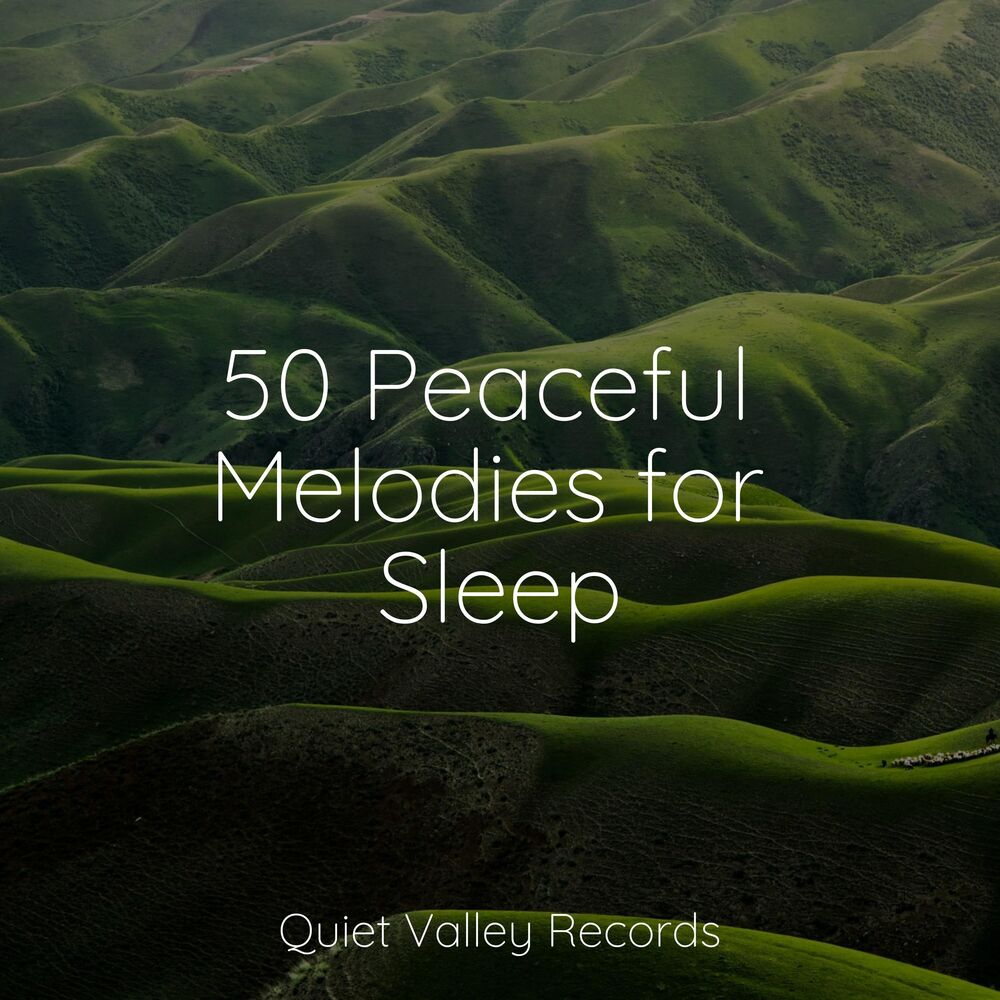 Picture of 50 Peaceful Melodies for Sleep