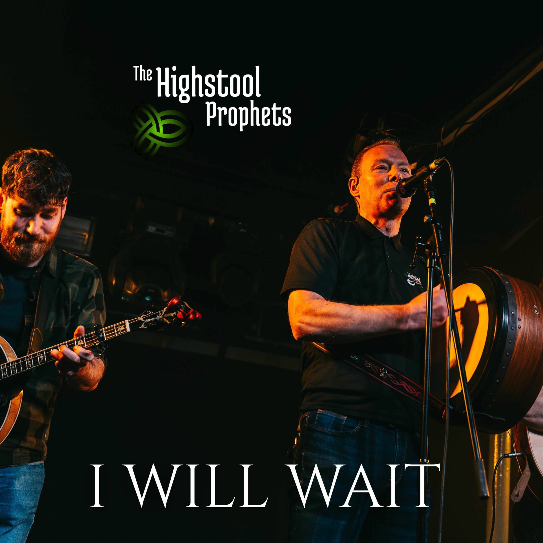 Album cover of I Will Wait