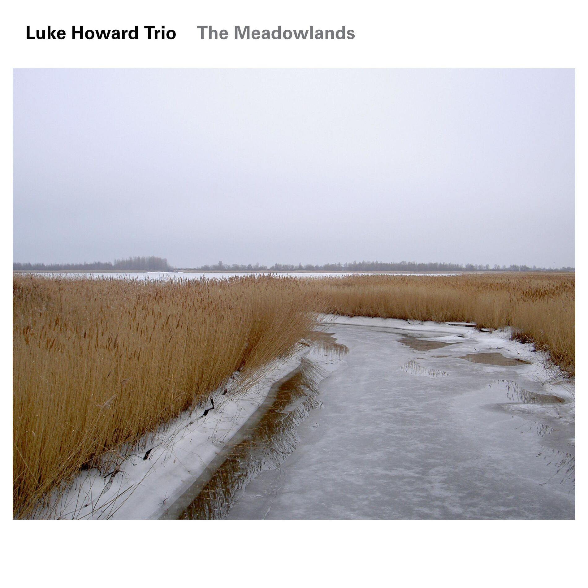Album cover of The Meadowlands