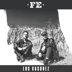 Cover of Fe