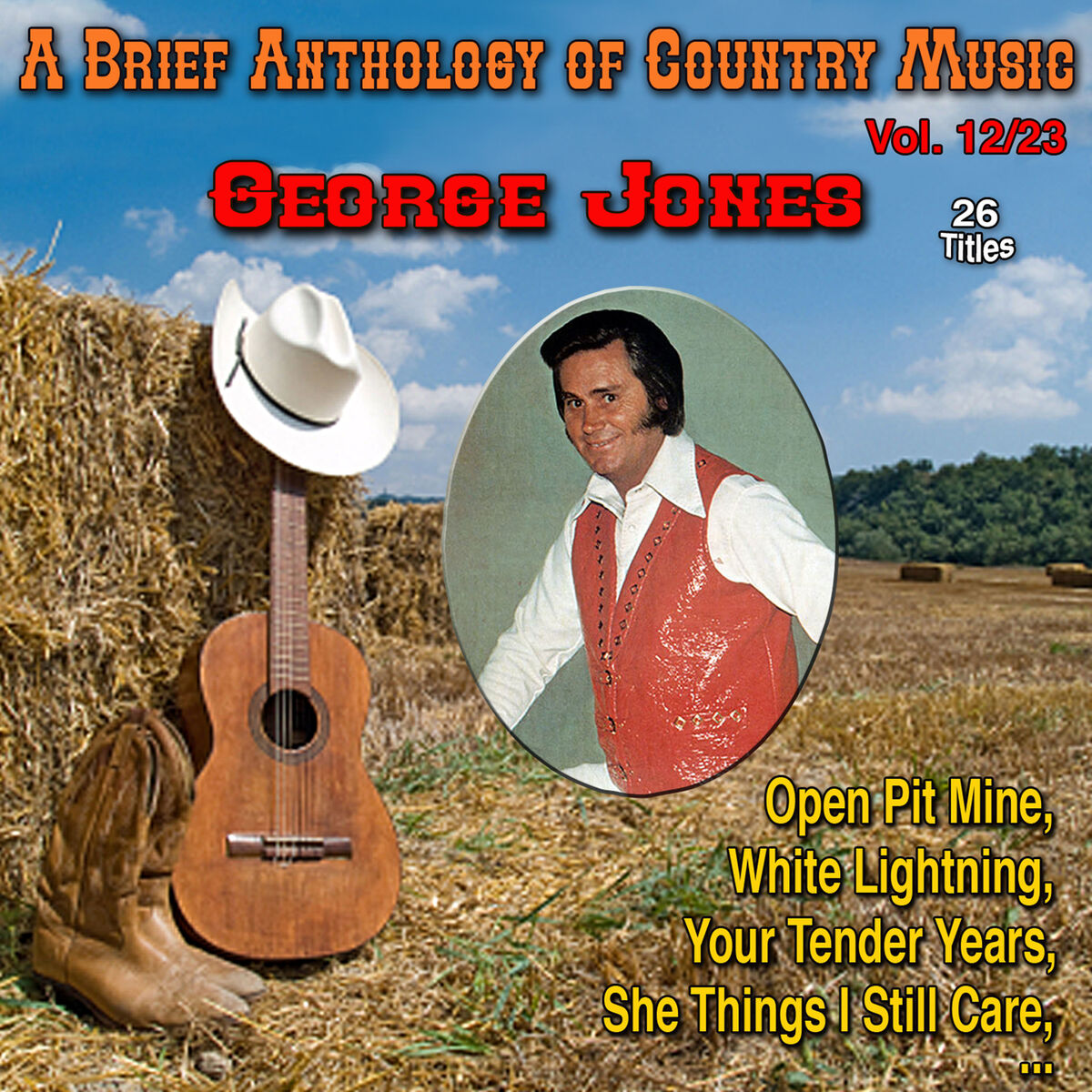 Album cover of A Brief Anthology of Country Music - Vol. 12/23