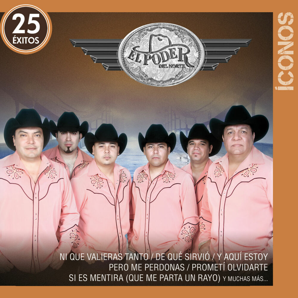 Picture of Íconos 25 Éxitos
